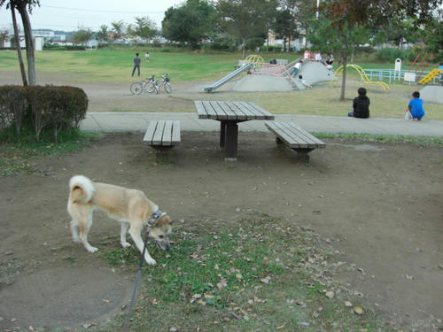 CIMG0114.JPG