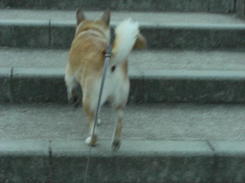 CIMG0123.JPG