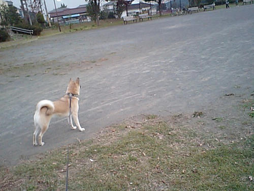 CA340022.JPG