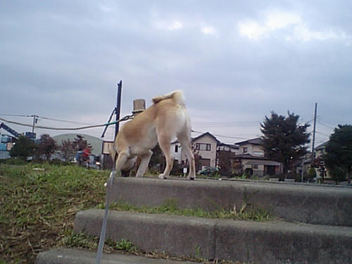 CA340023.JPG
