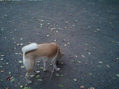 CA340024.JPG