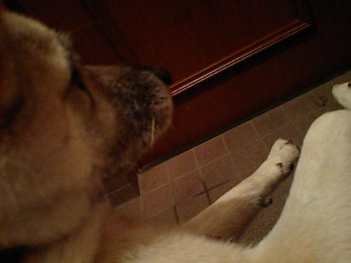 CA340030.JPG