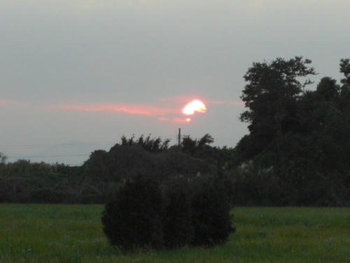 CIMG0451.JPG
