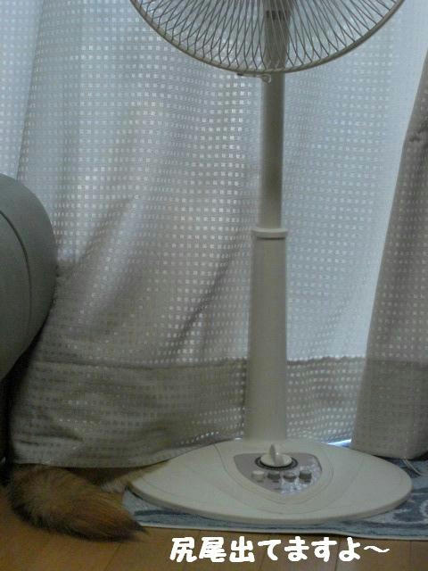 CIMG0627.JPG