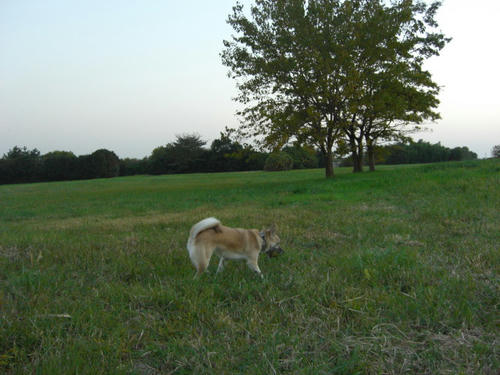 CIMG0636.JPG