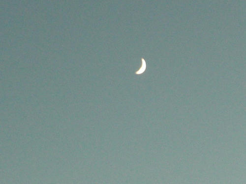 CIMG0644.JPG