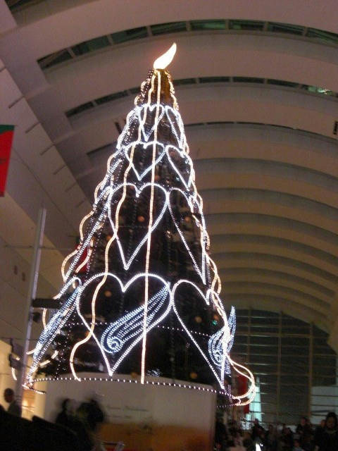 CIMG0700.JPG