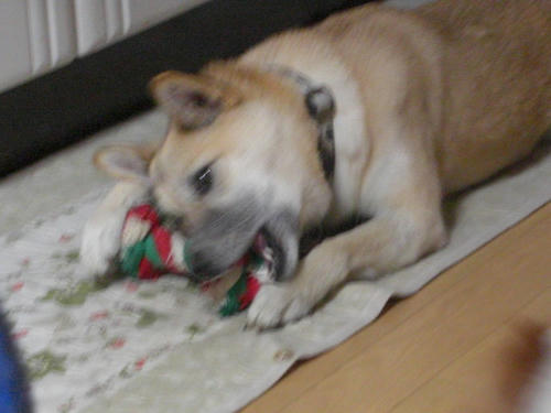 CIMG0773.JPG