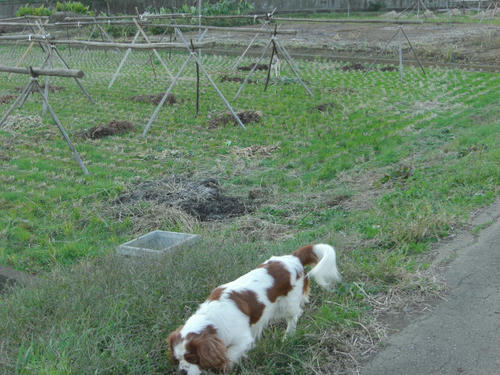 CIMG0806.JPG