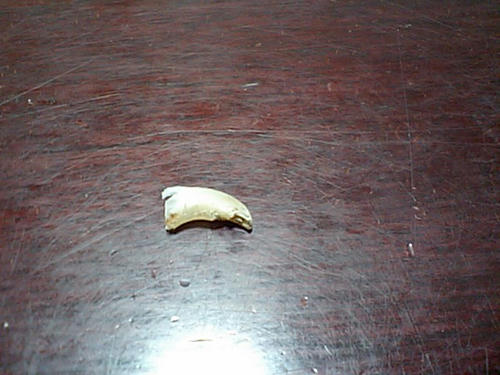 CA340037.JPG