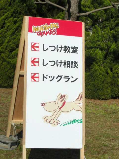 CIMG0868.JPG