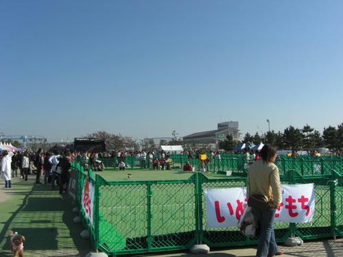CIMG0870.JPG