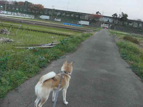 CIMG0884.JPG