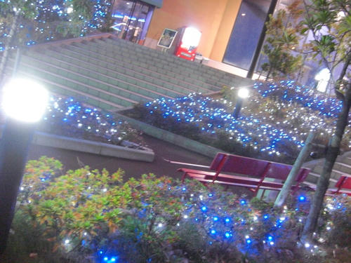 CIMG0900.JPG