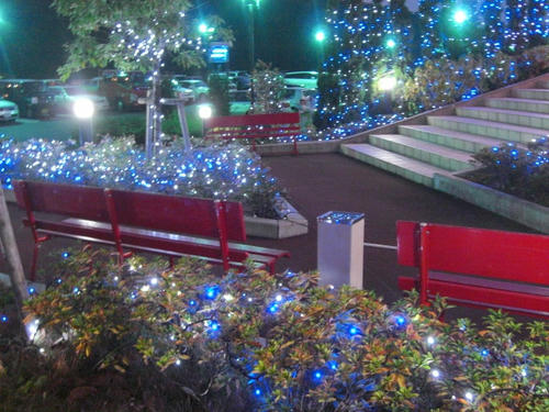 CIMG0902.JPG