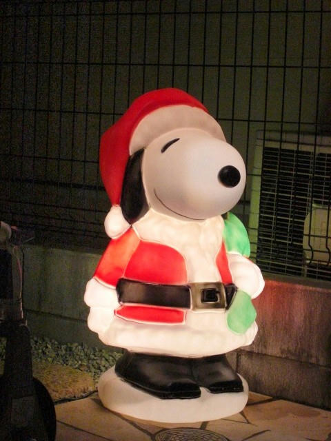 CIMG0906.JPG