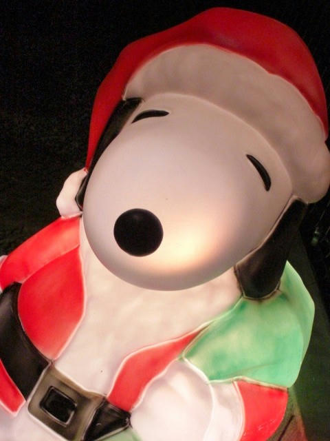 CIMG0907.JPG