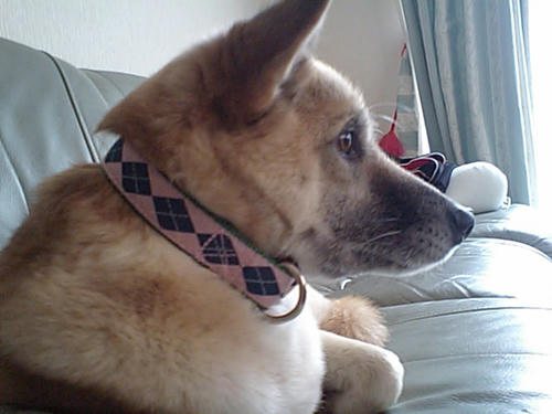 CA340046.JPG