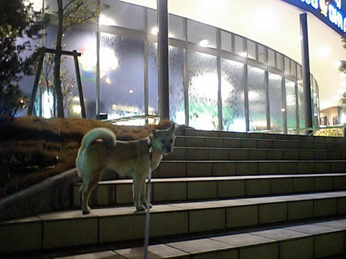 CA340049.JPG