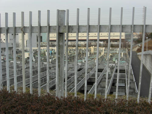 CIMG1354.JPG