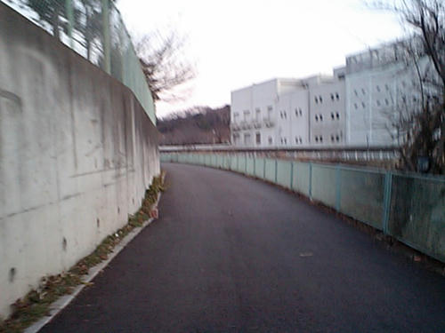 CA340126.JPG