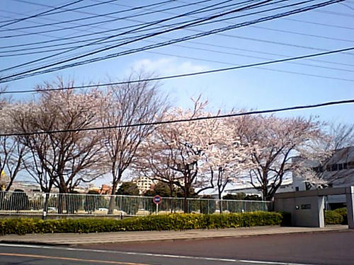 CA340164.JPG
