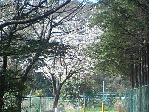 CA340166.JPG