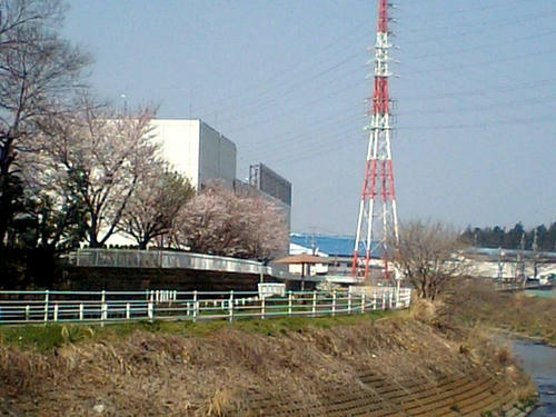 CA340167.JPG