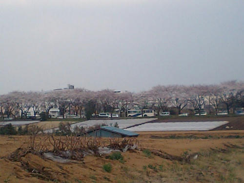CA340169.JPG