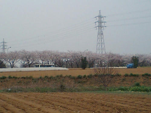CA340170.JPG