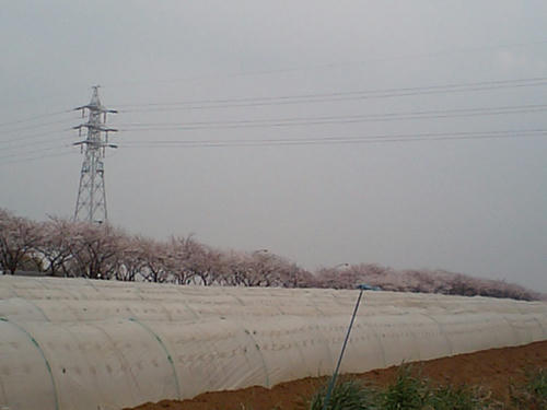 CA340171.JPG