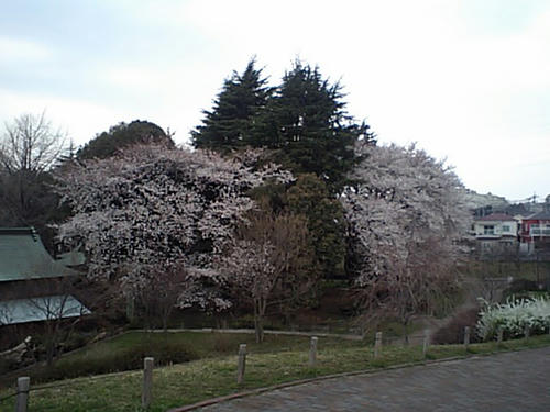 CA340173.JPG