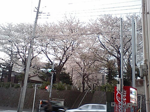 CA340178.JPG