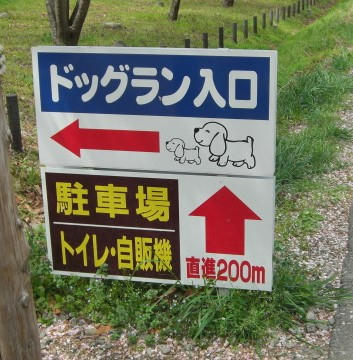 CIMG2006.JPG