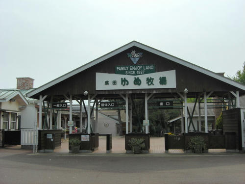 CIMG2264.JPG