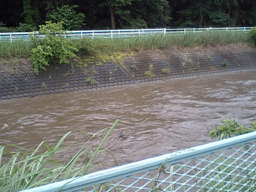 CA340240.JPG