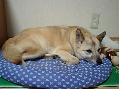 CA340251.JPG