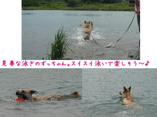 d6959367jpeg