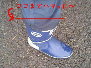 3924728ejpeg