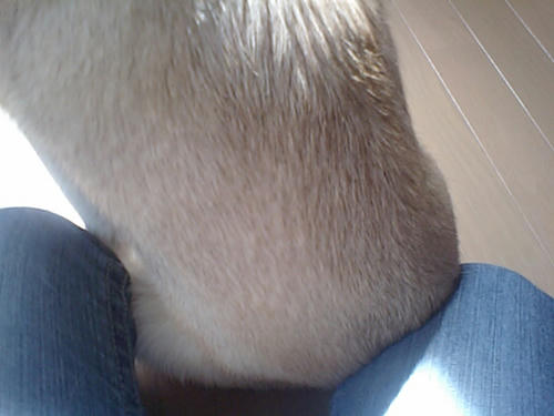 CA340283.JPG