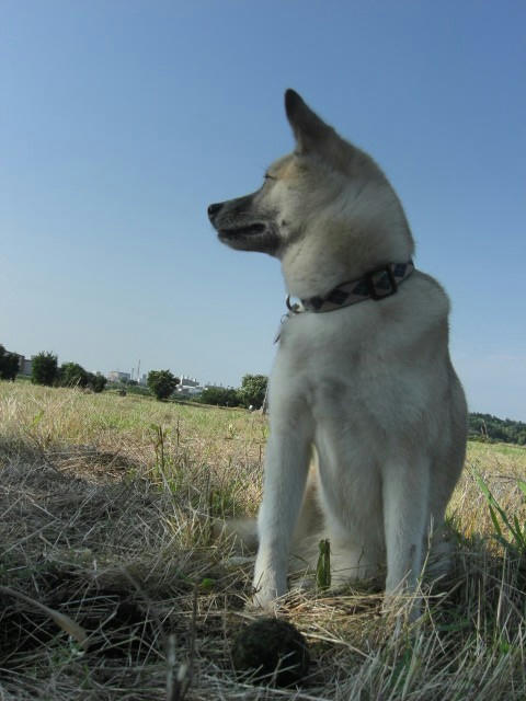 CIMG0156.JPG
