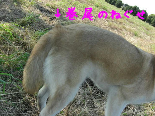 CIMG0159.JPG