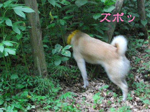 d22096bd.jpeg