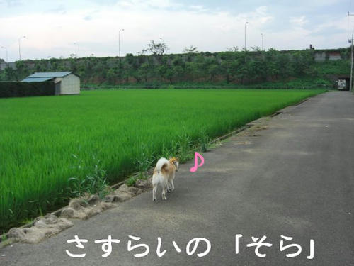 CIMG0230.JPG