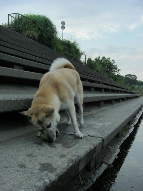 CIMG0251.JPG
