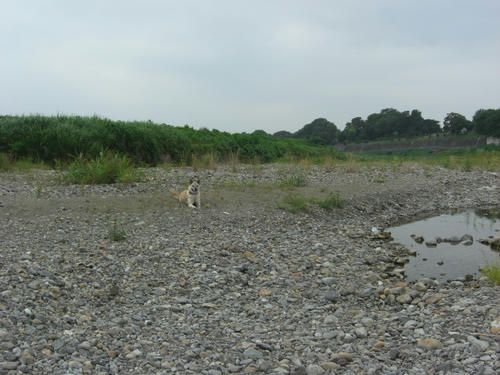 CIMG0314.JPG