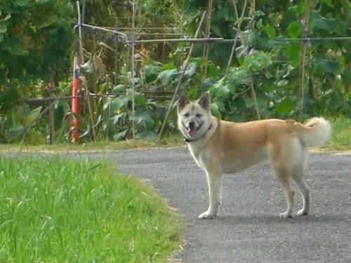 CIMG0325.JPG