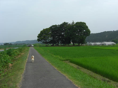 CIMG0332.JPG