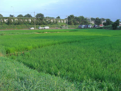CIMG0422.JPG