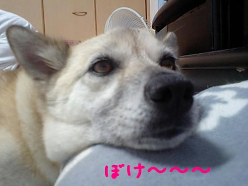 d0921084.jpeg